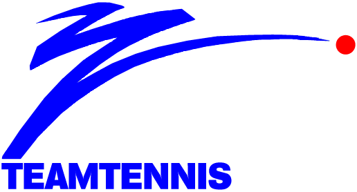 World TeamTennis 1983-1984 Primary Logo iron on transfers for clothing